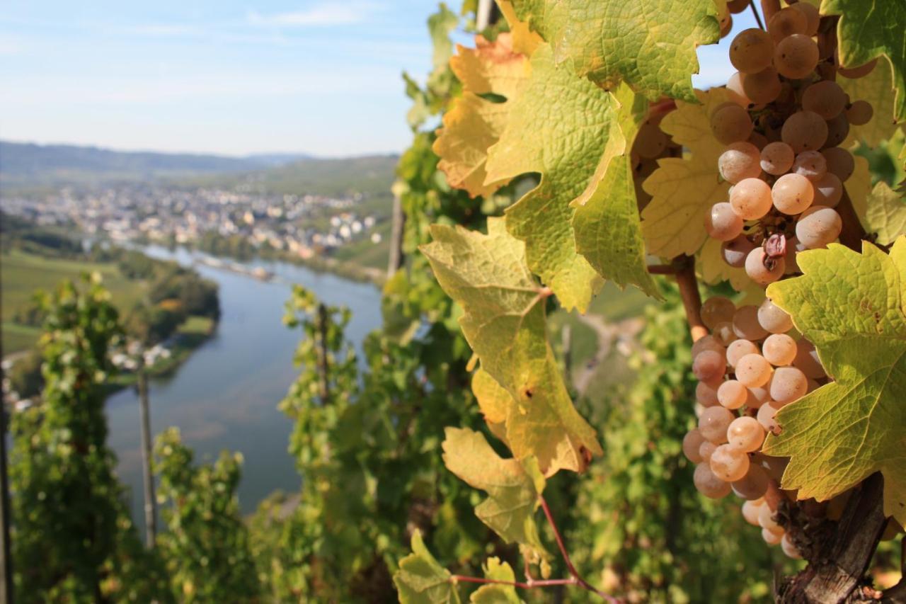 Weingut Markus Junglen Kröv Dış mekan fotoğraf