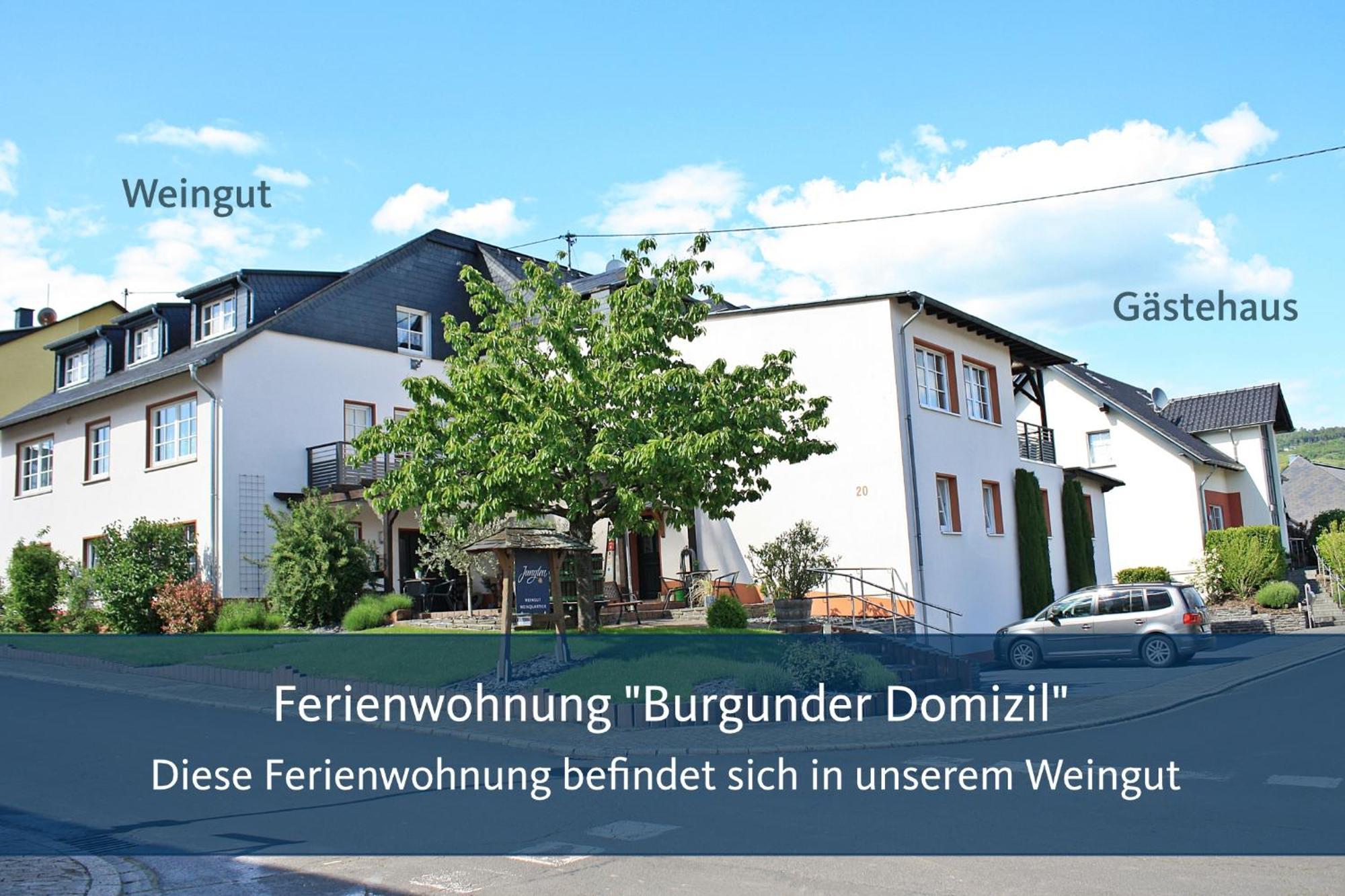 Weingut Markus Junglen Kröv Oda fotoğraf